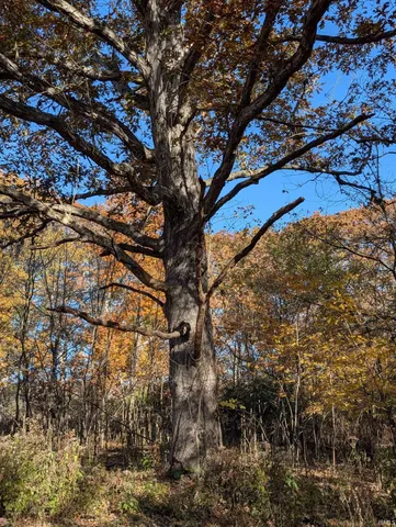 $610,000 | 8810 East Independence Road, Attica, IN 47918