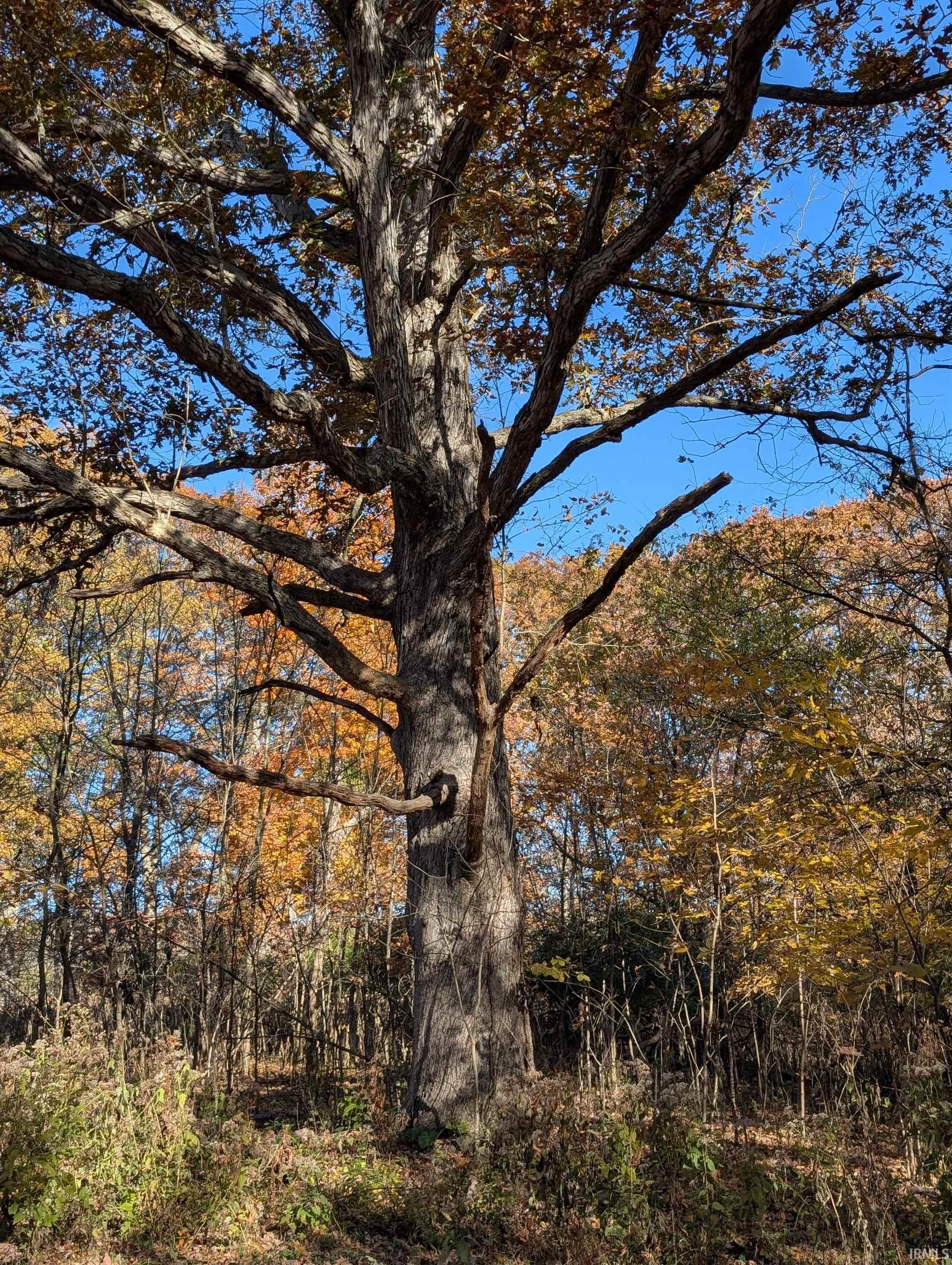 8810 East Independence Road Attica, IN 47918 - Photo 18 of 25