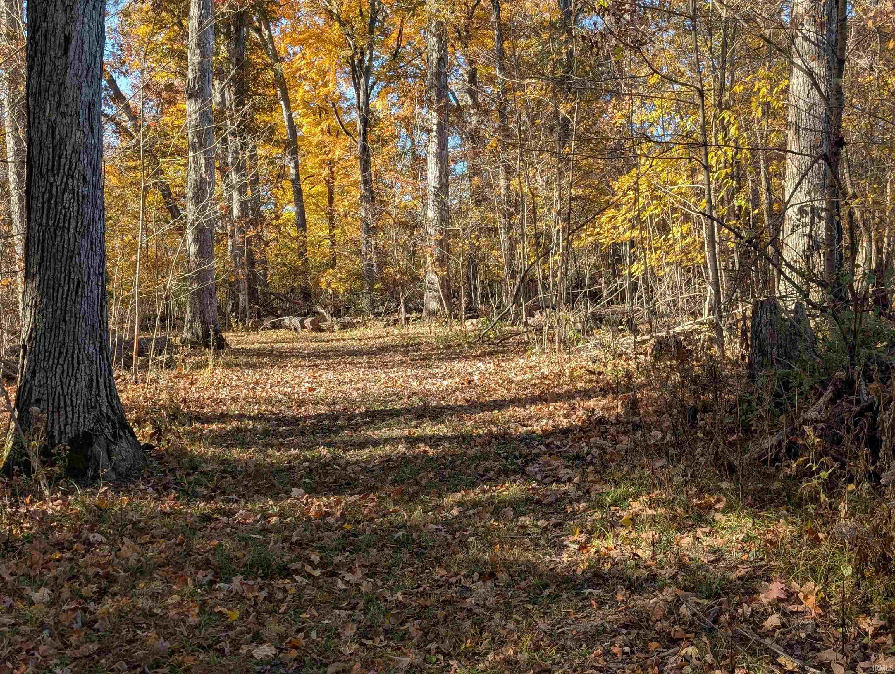 8810 East Independence Road Attica, IN 47918 - Photo 20 of 25