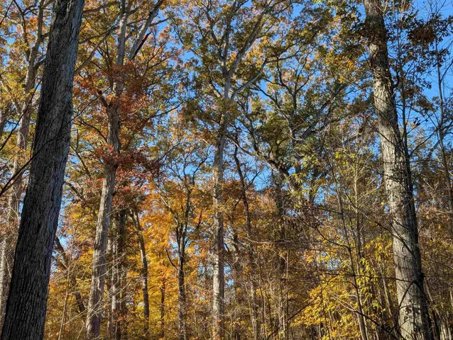 $610,000 | 8810 East Independence Road, Attica, IN 47918