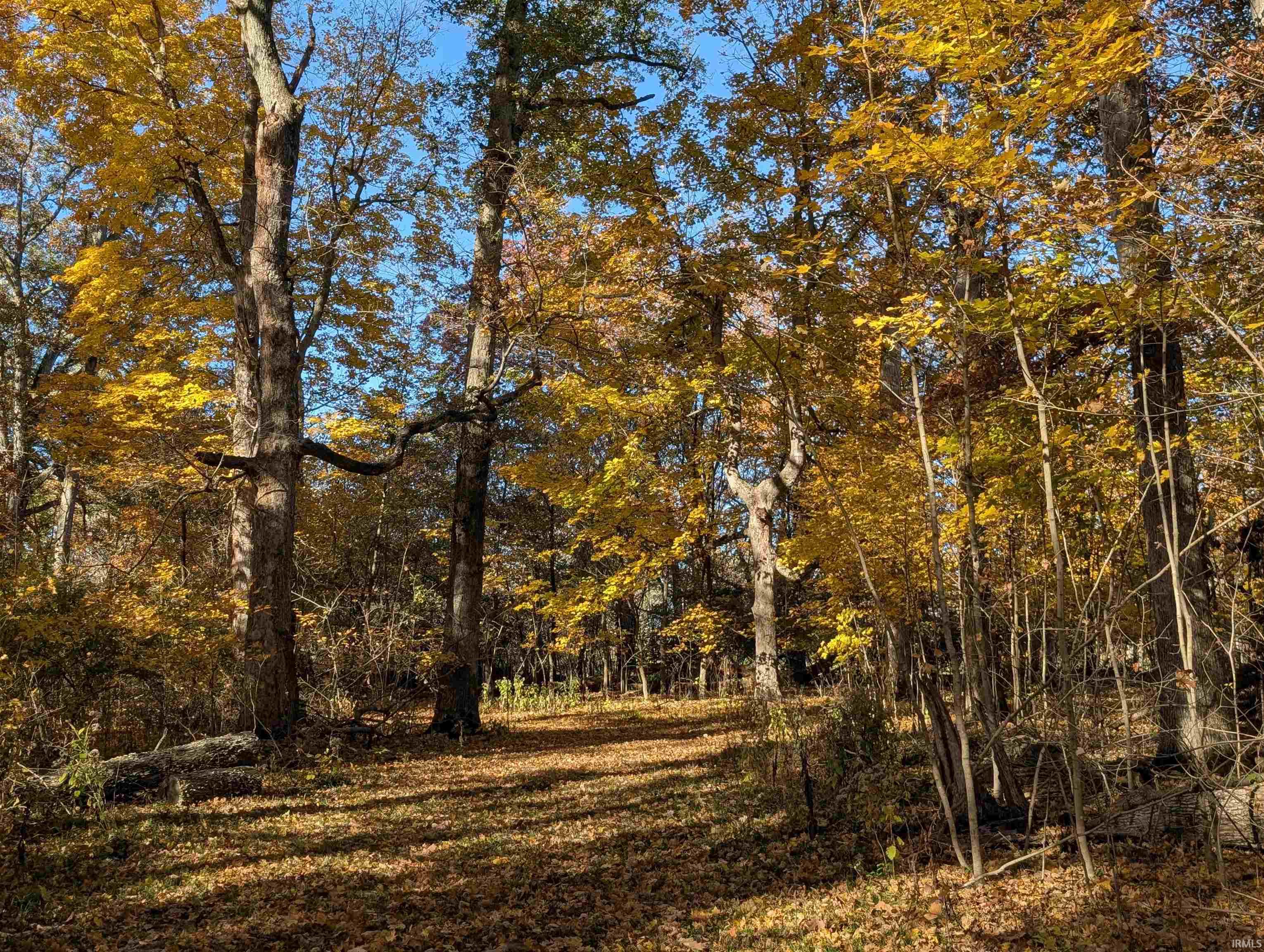 8810 East Independence Road Attica, IN 47918 - Photo 22 of 25
