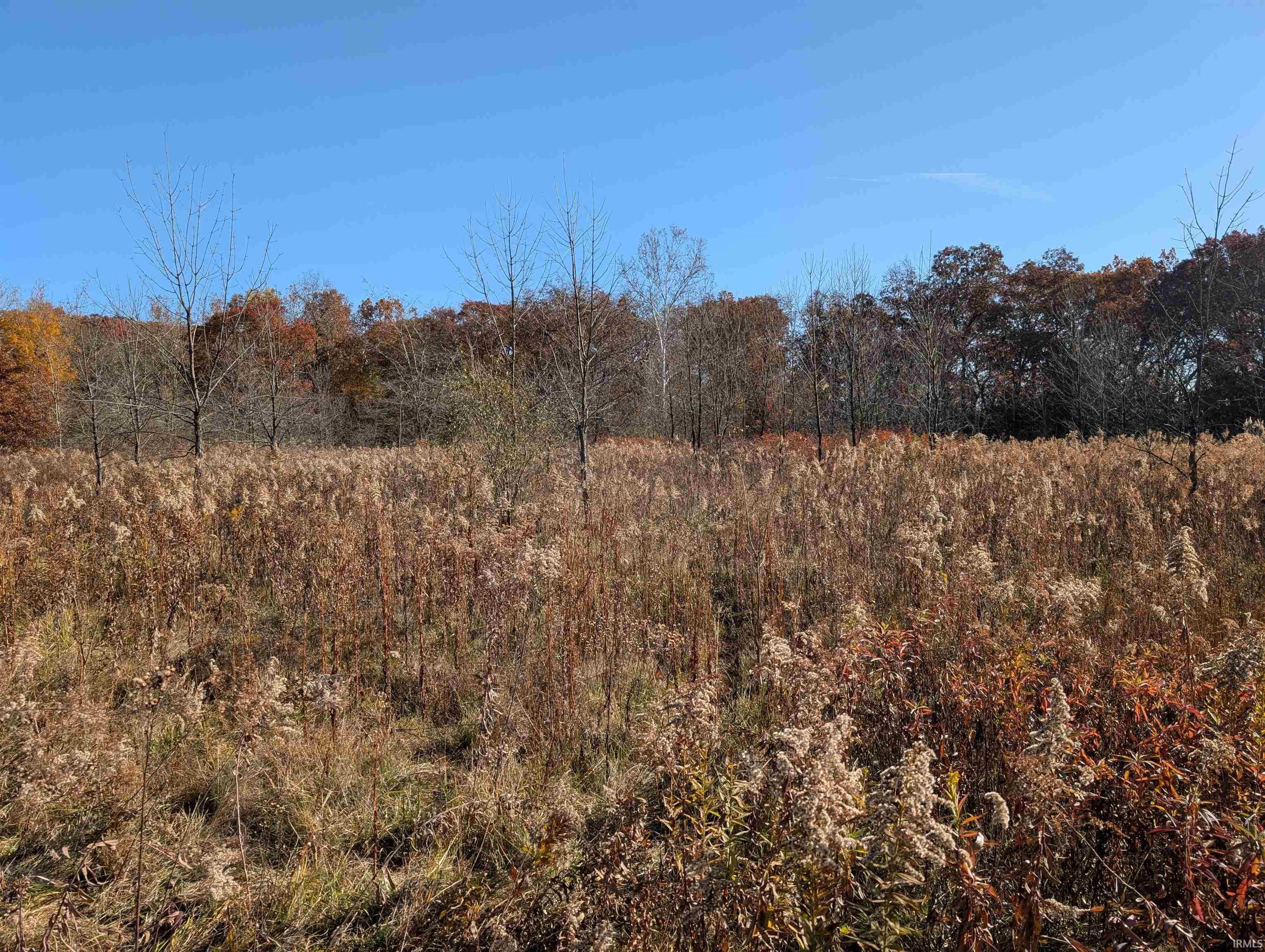 8810 East Independence Road Attica, IN 47918 - Photo 24 of 25