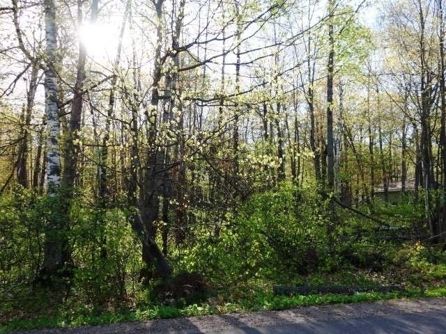 Lot 7 Hixon Road Minocqua, WI 54548 - Photo 2 of 6 Gallery Image 2