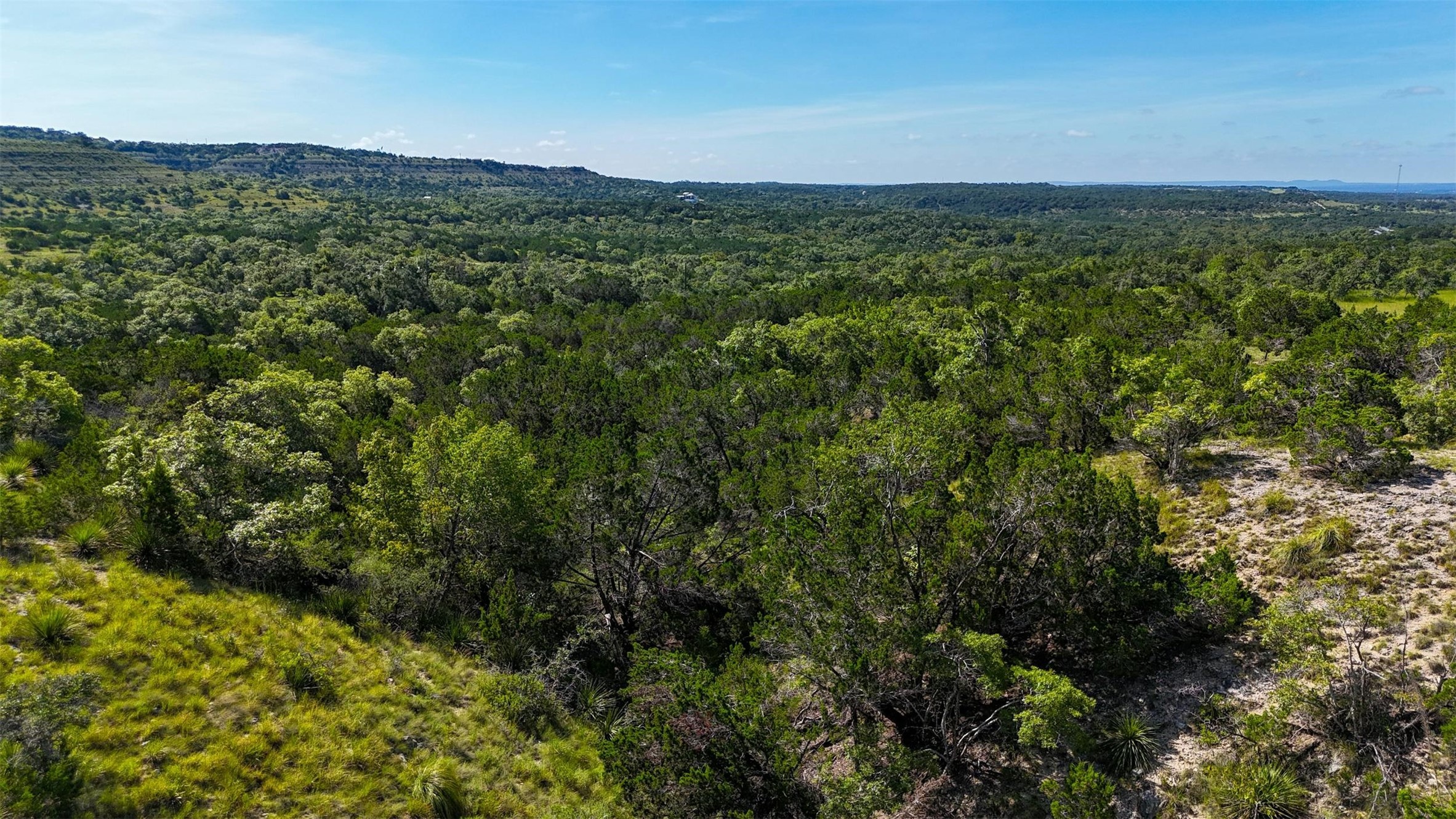 1215 Montell Road Wimberley, TX 78676 - Photo 11 of 38 a view of a green field with lots of bushes