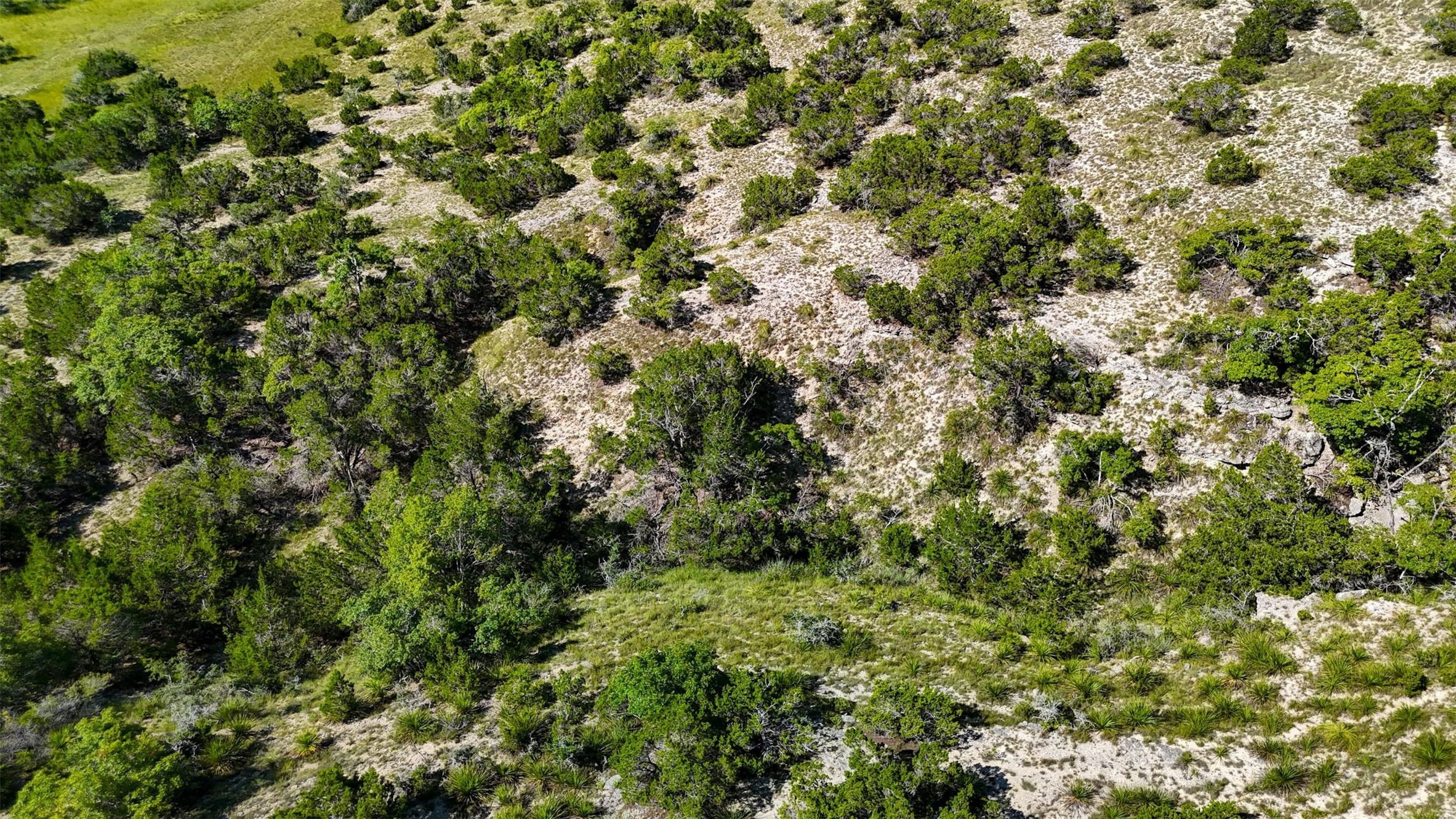 1215 Montell Road Wimberley, TX 78676 - Photo 14 of 38