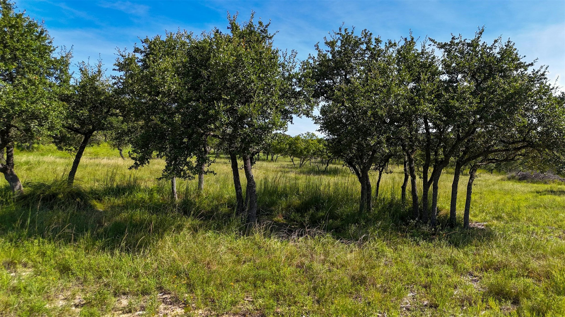 1215 Montell Road Wimberley, TX 78676 - Photo 20 of 38