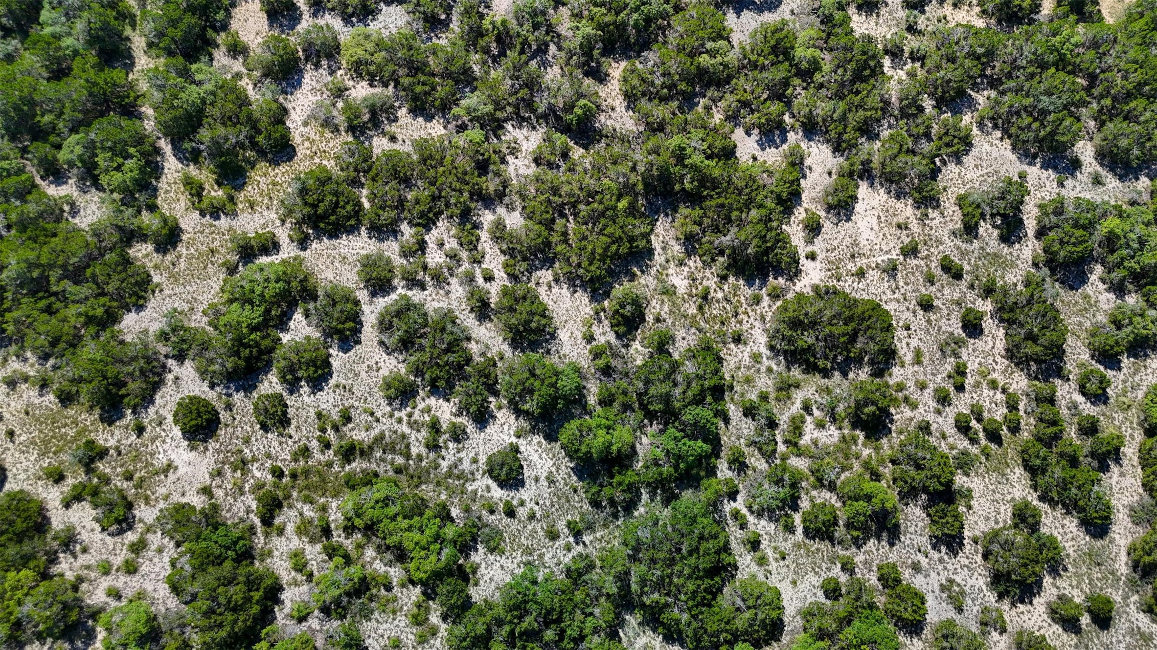 1215 Montell Road Wimberley, TX 78676 - Photo 23 of 38 view of a city with lots of bushes