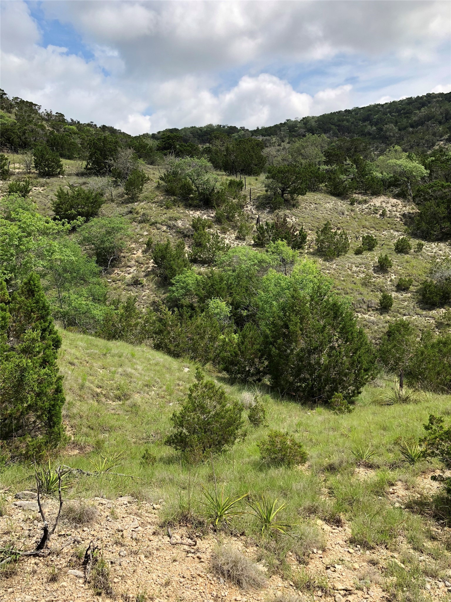 1215 Montell Road Wimberley, TX 78676 - Photo 38 of 38 a view of a yard with an outdoor space