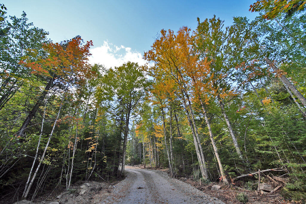 Off Lot 25 Off Road Smyrna Mills, ME 04780 - Photo 19 of 30 mixed-woods-30-acres-land