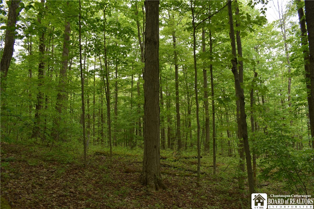 0 Harris Hollow Road Gerry, NY 14740 - Photo 12 of 23