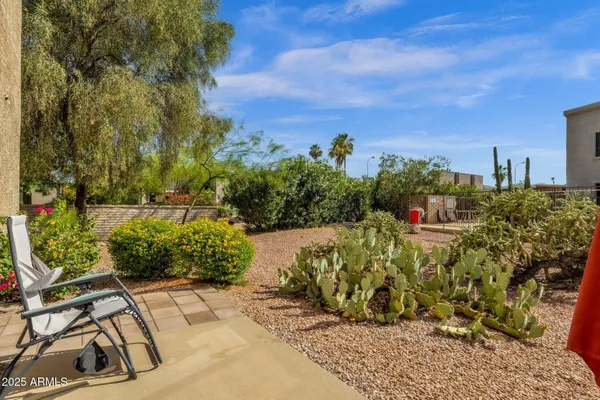a view of a backyard