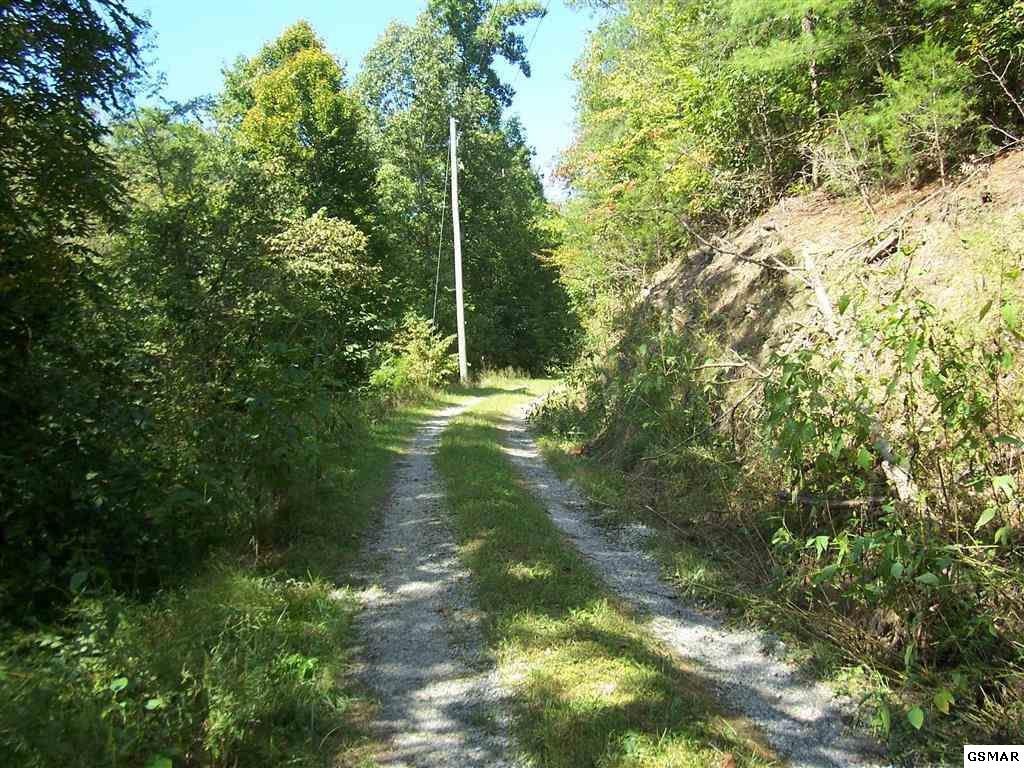5504 Pearl Valley Road Sevierville, TN 37876 - Photo 11 of 14