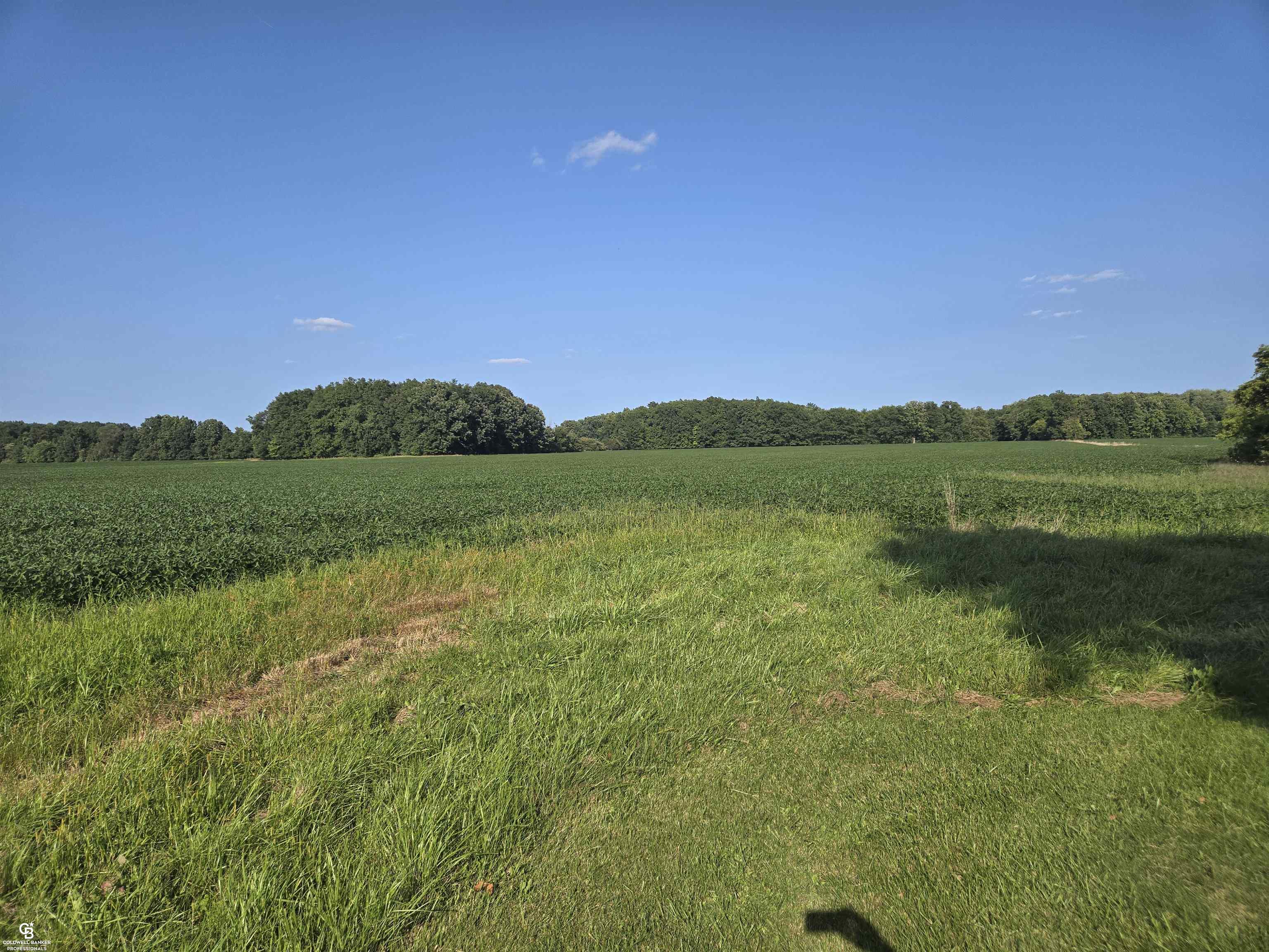 0 Fargo Vl Road Avoca, MI 48006 - Photo 3 of 11