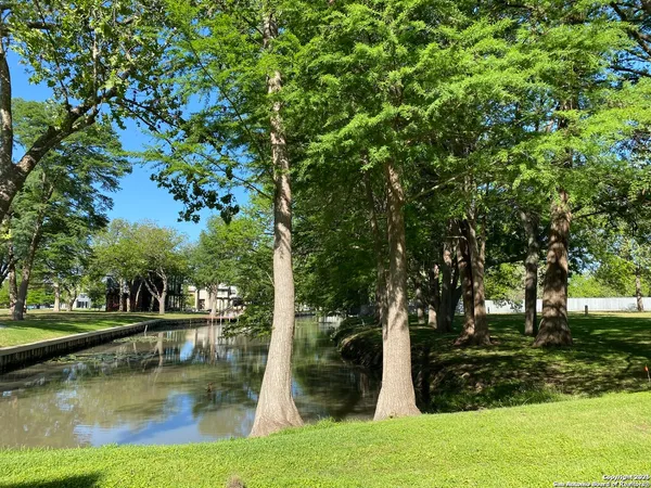 a view of lake with trees