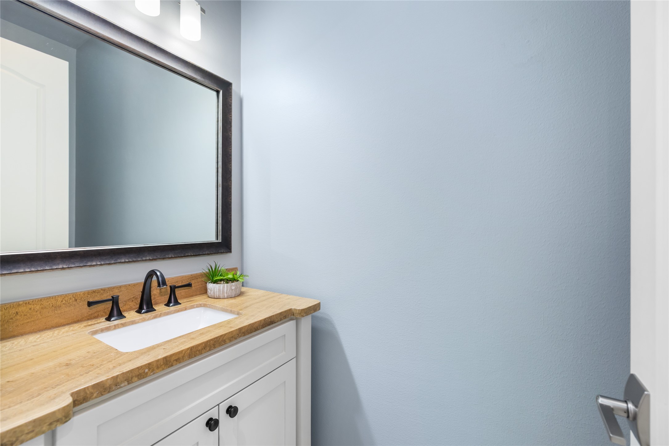 24806 Pearl Crest Lane Spring, TX 77389 - Photo 33 of 47