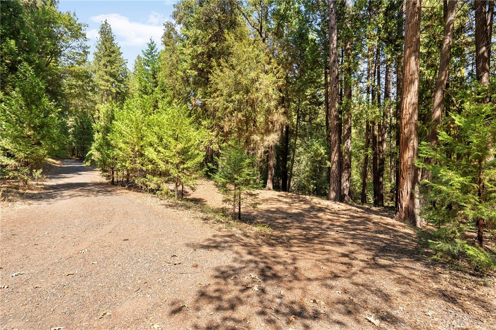 4758 A J Stohr Road Forest Ranch, CA 95942 - Photo 46 of 72 Gallery Image 46