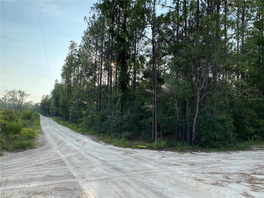 a view of a pathway with a wrought fence