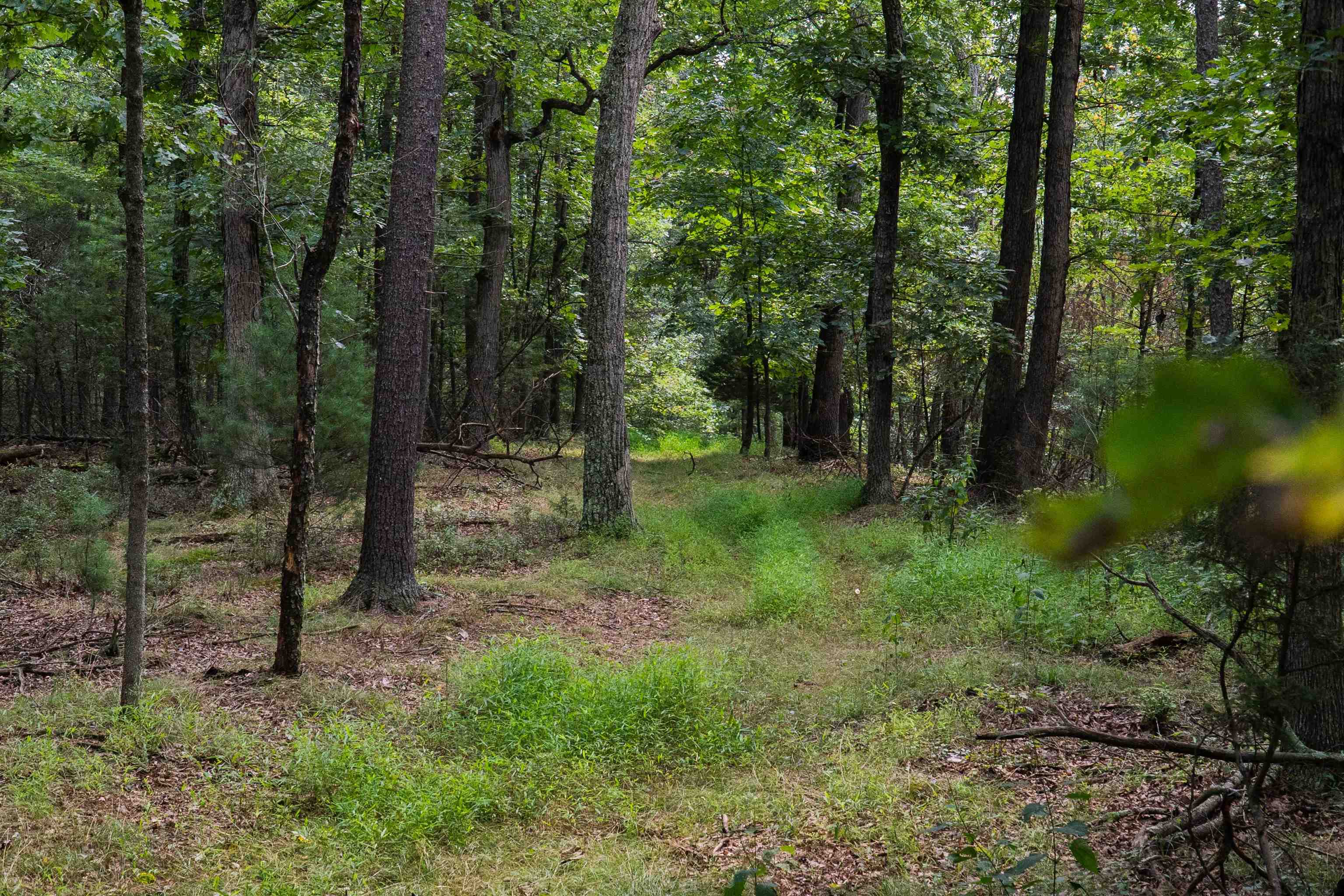 Tbd Lot 19 Tbd Road Harrisonburg, VA 22801 - Photo 10 of 11 Gallery Image 10