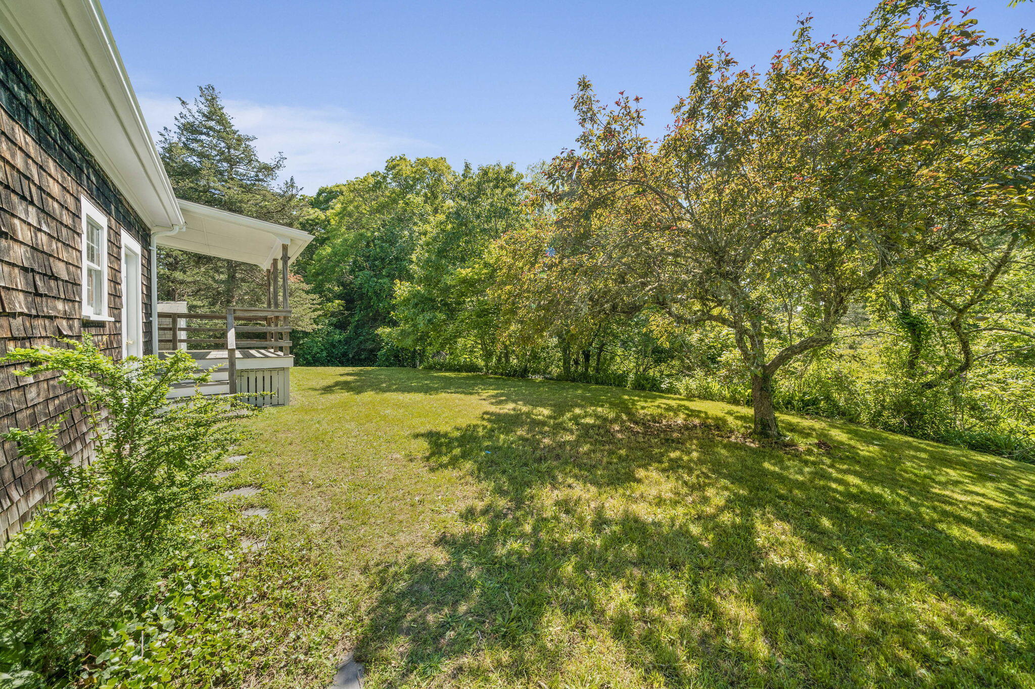 770 Shore Road Pocasset, MA 02559 - Photo 40 of 52 Large yard