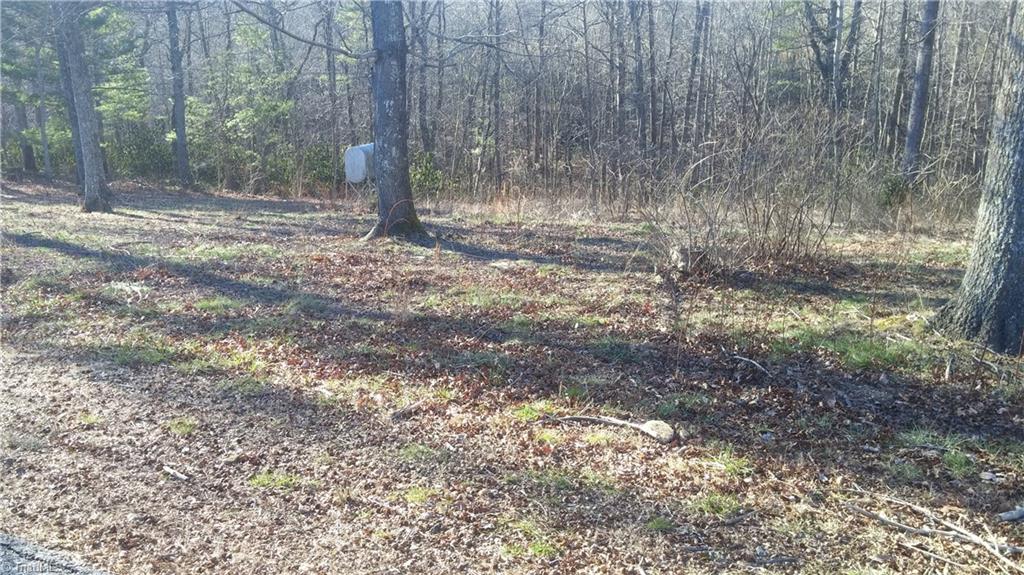 0 Martha Lowe Road Lowgap, NC 27024 - Photo 1 of 1 Gallery Image 1