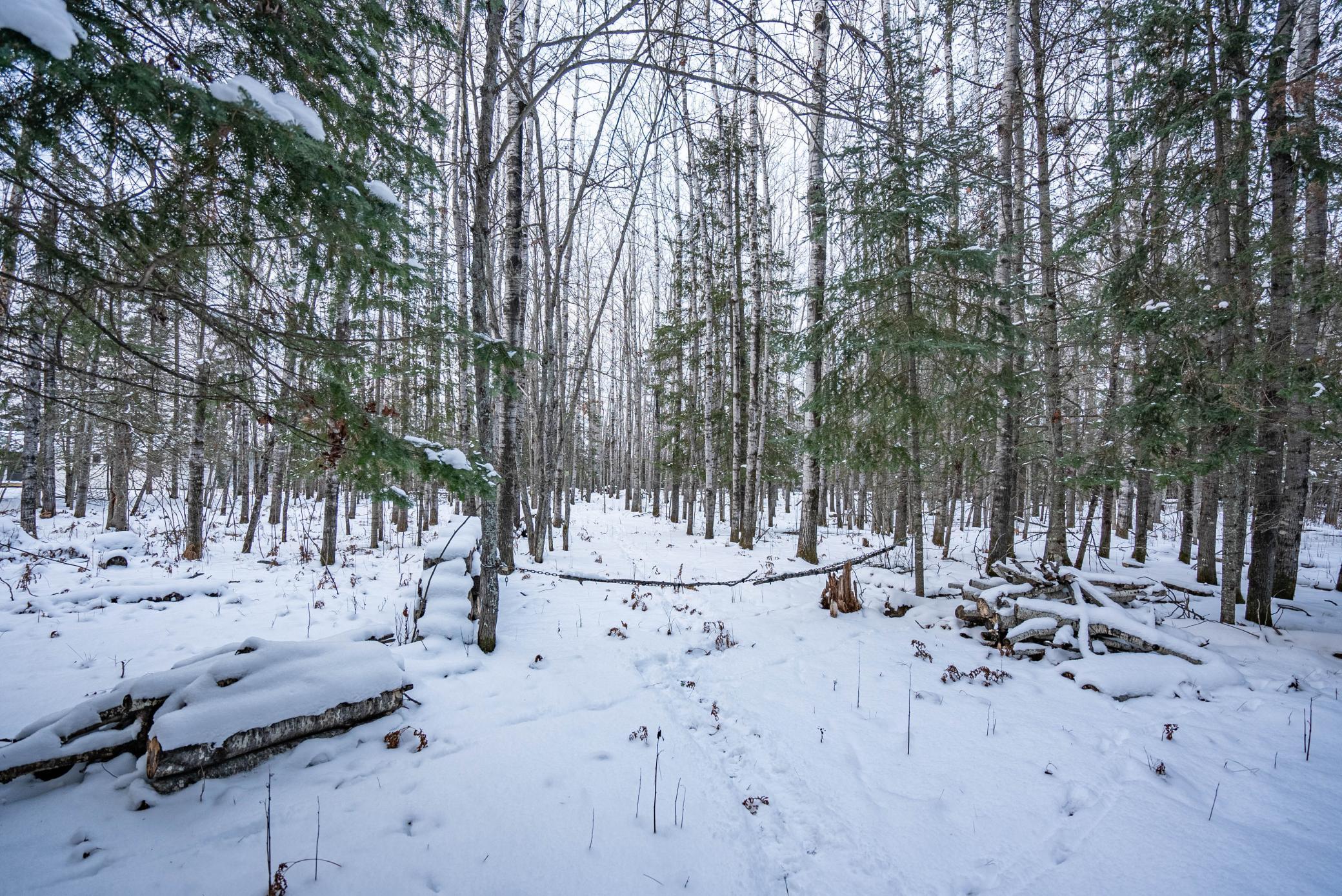 0 Bass Lake Road Gilbert, MN 55741 - Photo 24 of 41