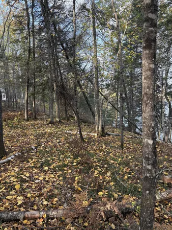 $224,900 | 0 Bass Lake Road, Gilbert, MN 55741