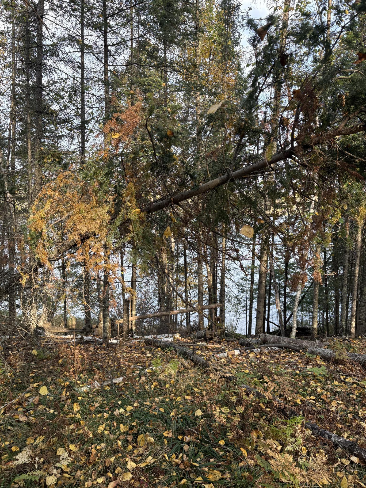 0 Bass Lake Road Gilbert, MN 55741 - Photo 34 of 41