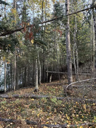 $224,900 | 0 Bass Lake Road, Gilbert, MN 55741