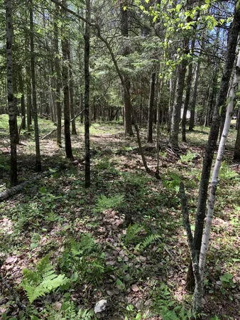 $224,900 | 0 Bass Lake Road, Gilbert, MN 55741