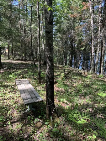 $224,900 | 0 Bass Lake Road, Gilbert, MN 55741