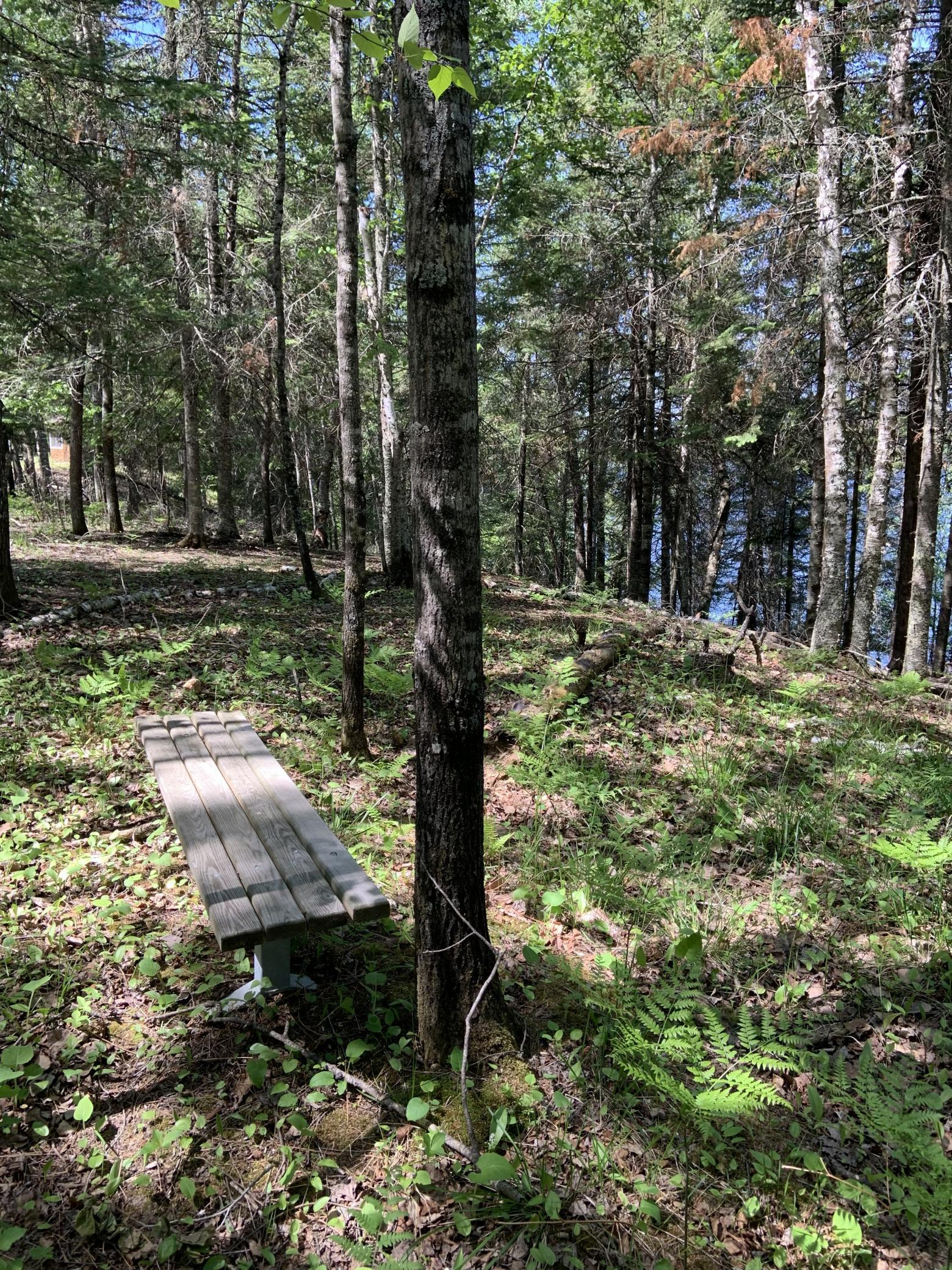 0 Bass Lake Road Gilbert, MN 55741 - Photo 37 of 41