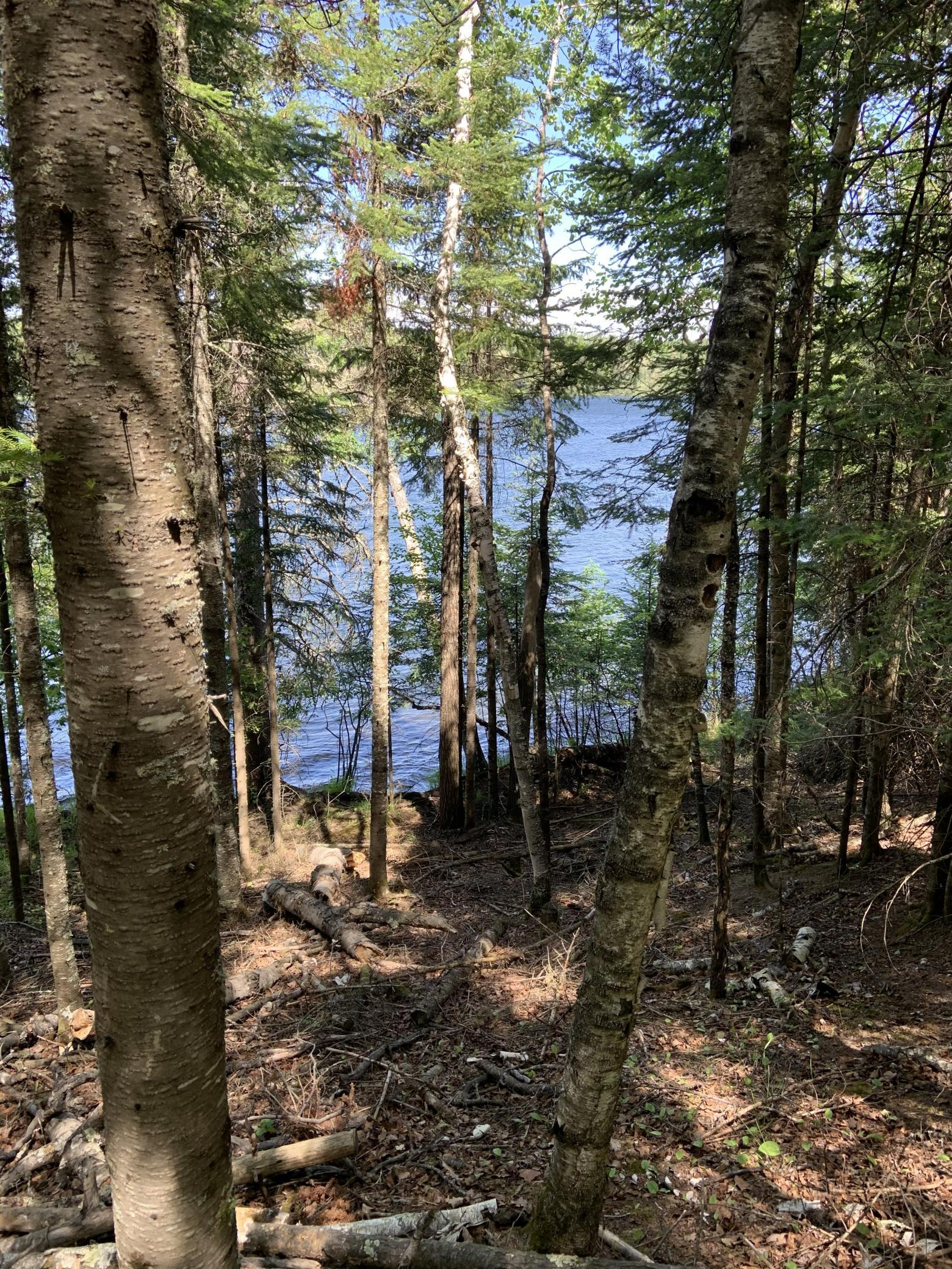 0 Bass Lake Road Gilbert, MN 55741 - Photo 38 of 41