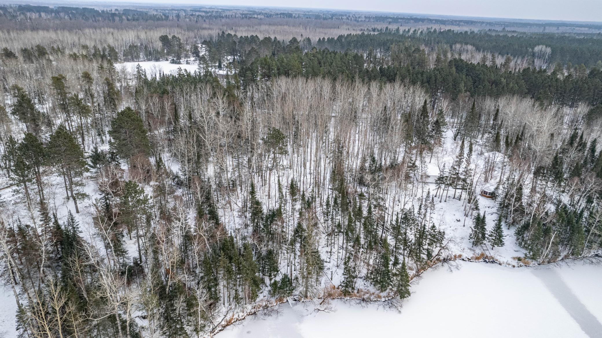 0 Bass Lake Road Gilbert, MN 55741 - Photo 10 of 41