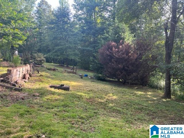 565 Oak Hill Road Talladega, AL 35160 - Photo 3 of 14