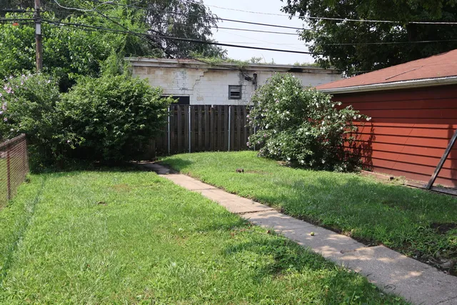 a view of a backyard with plants and large tree