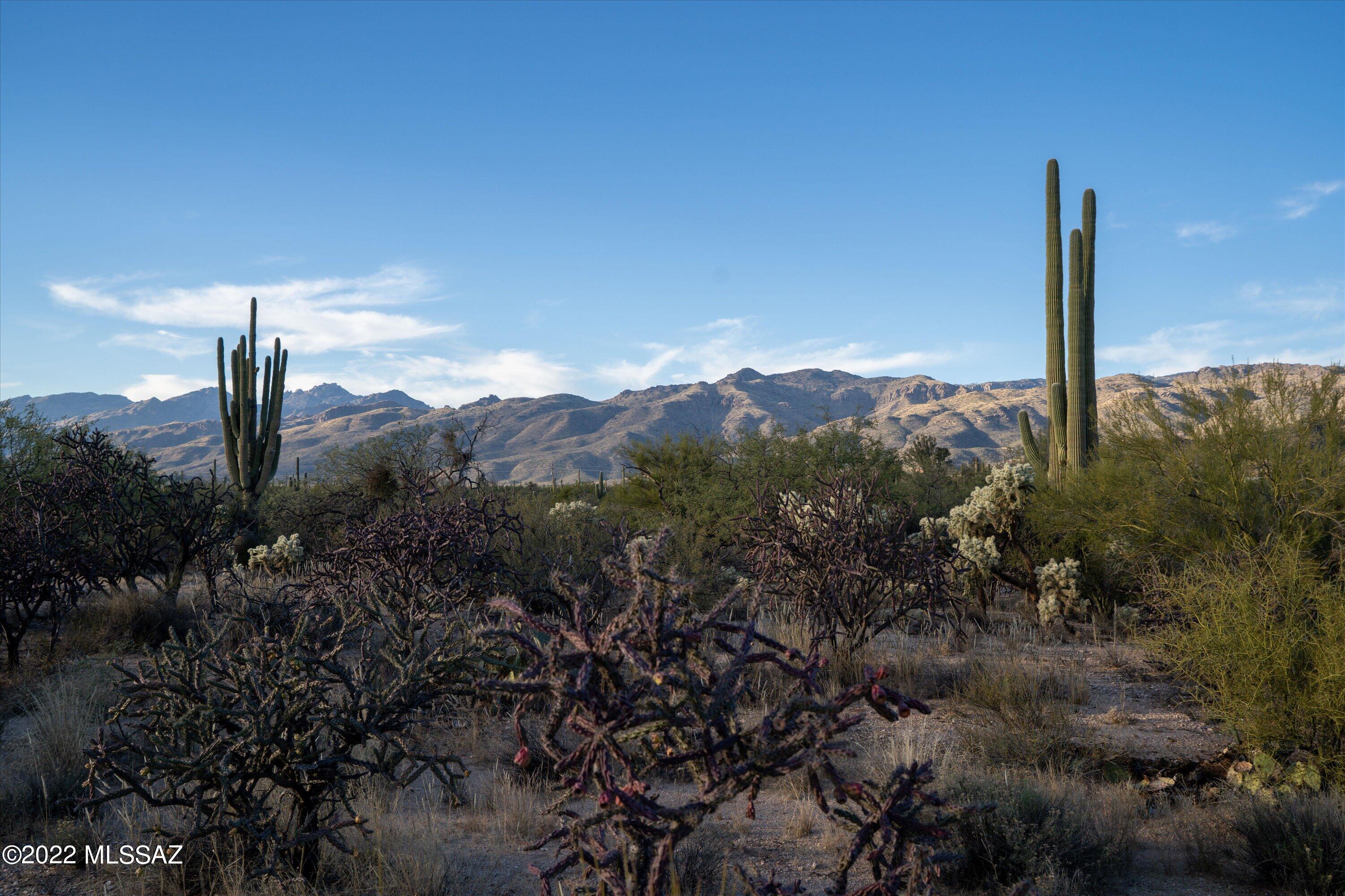 12803 East Nighthawk Ranch Place Tucson, AZ 85749 - Photo 10 of 23 Gallery Image 10