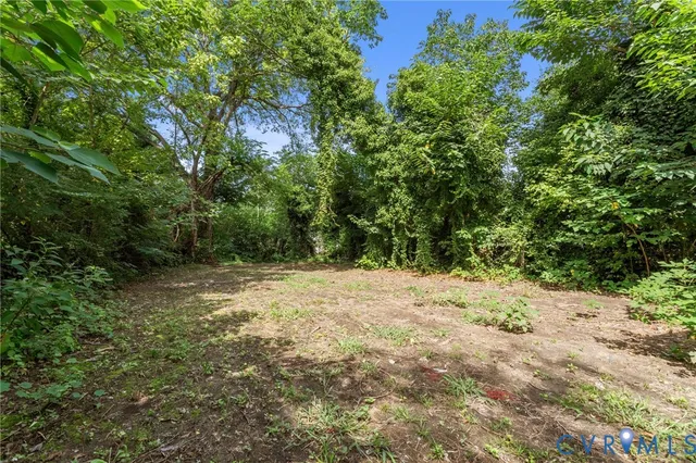 a view of a yard with plants and trees