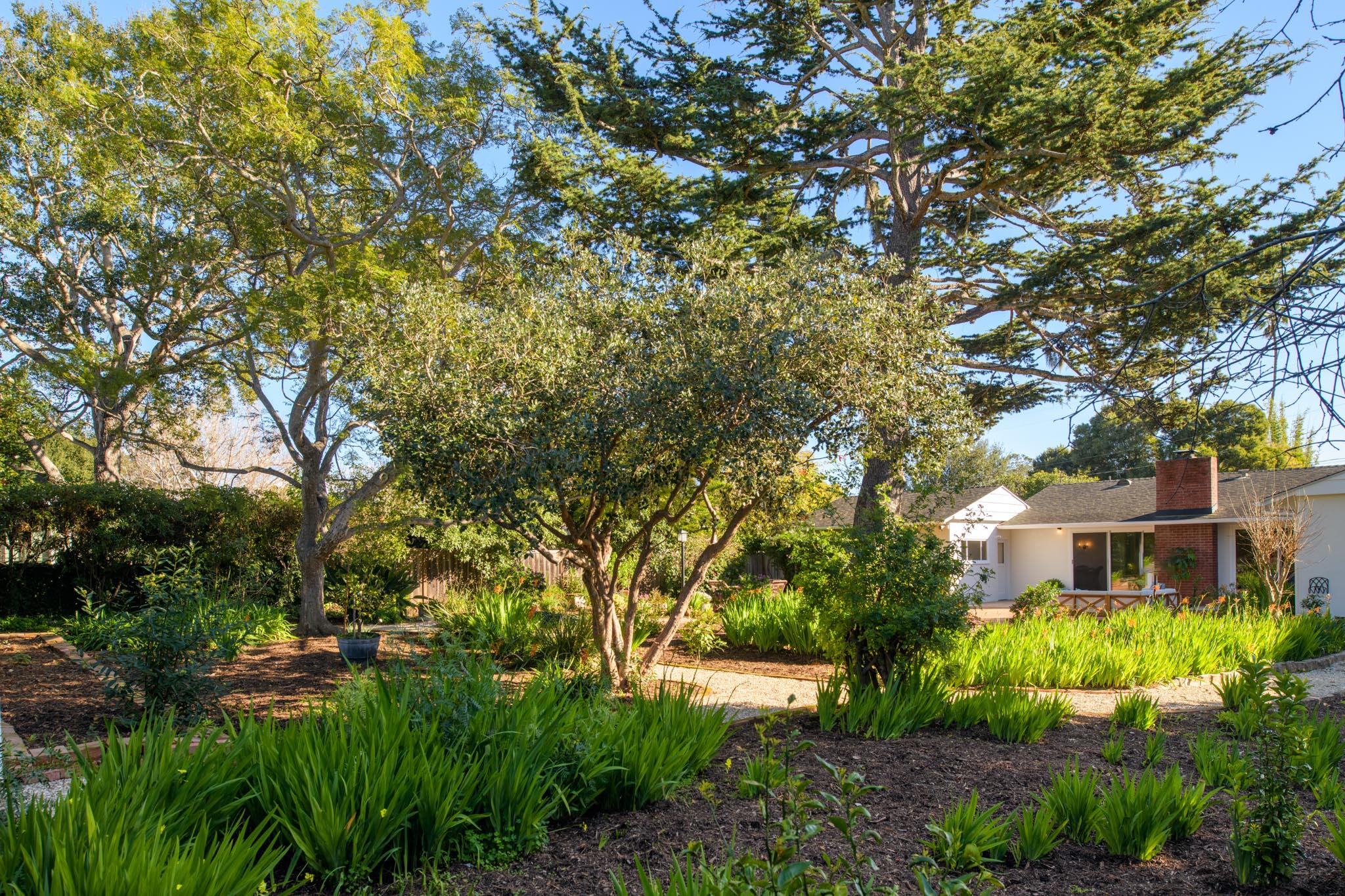 1180 Mesa Road Montecito, CA 93108 - Photo 21 of 25 Yard Space
