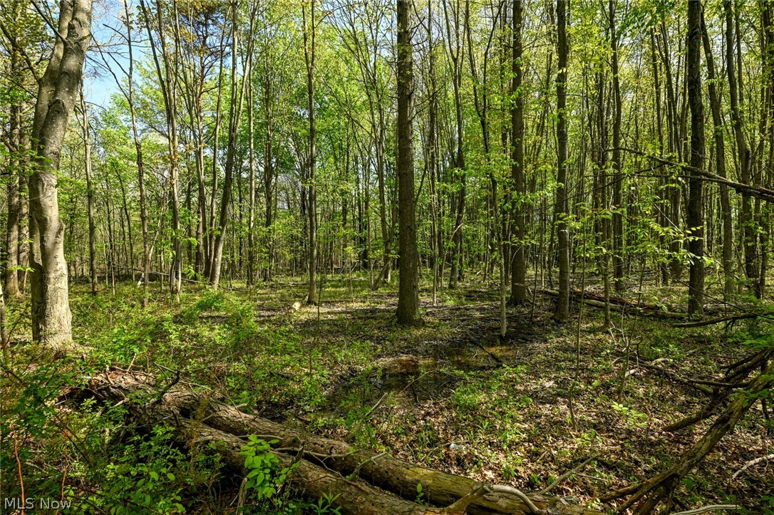 Oyster Road Alliance, OH 44601 - Photo 21 of 33 Gallery Image 21