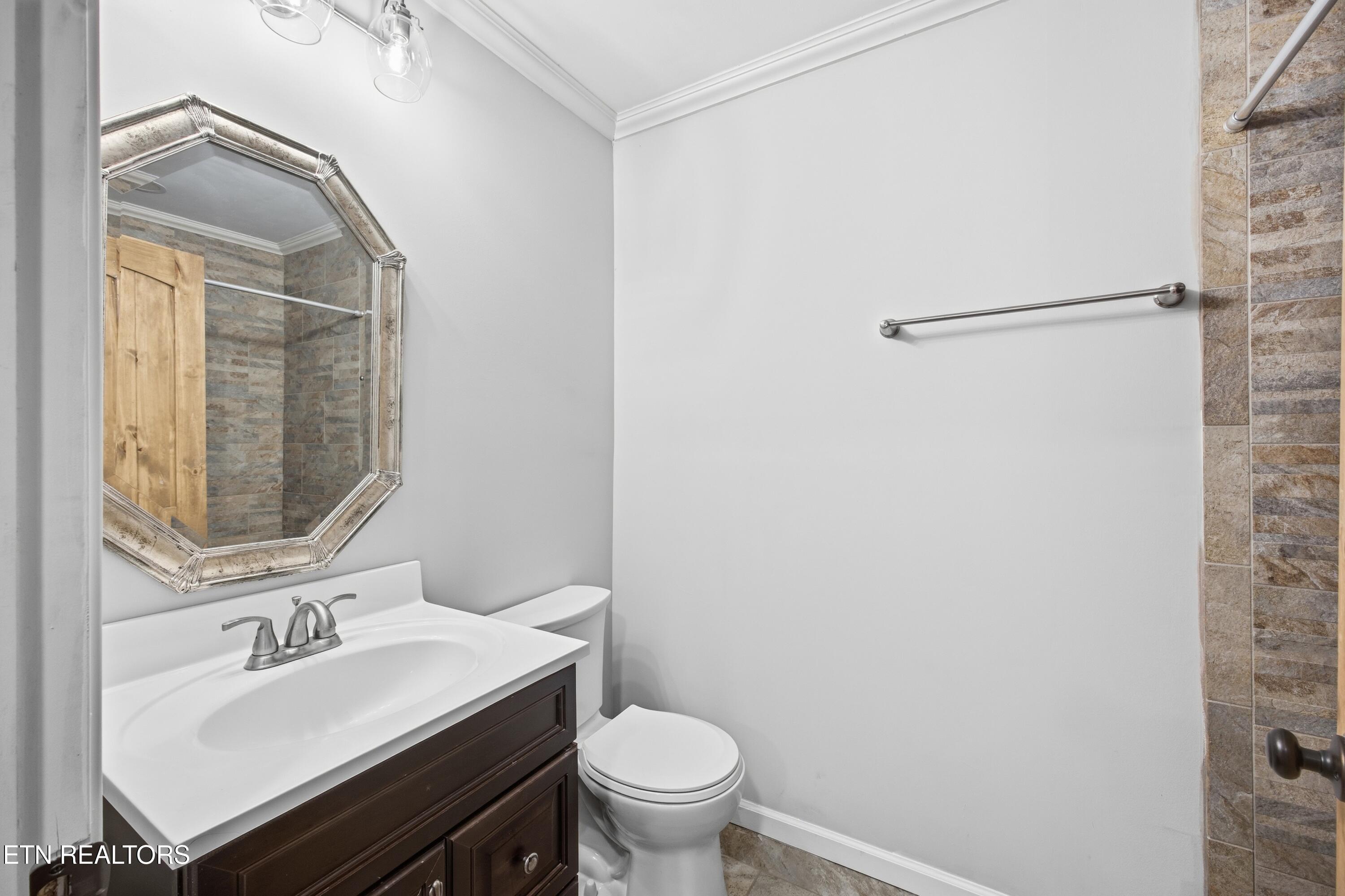 287 Cave Creek Road Loudon, TN 37774 - Photo 25 of 32 basement bathroom