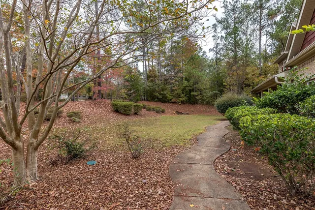a view of a yard with plants and trees