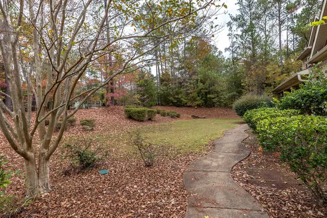 a view of dirt field with trees in the background