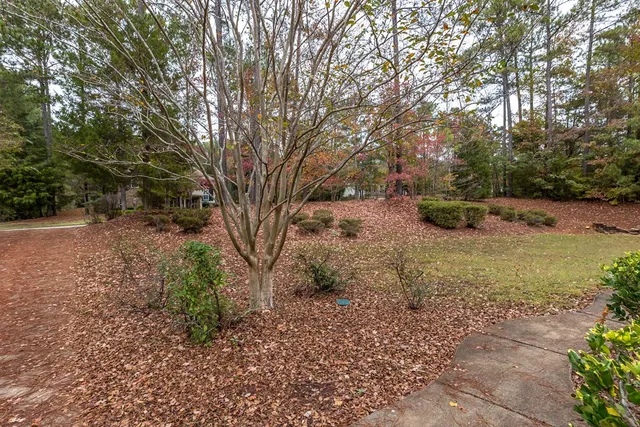 a view of a yard with plants and trees