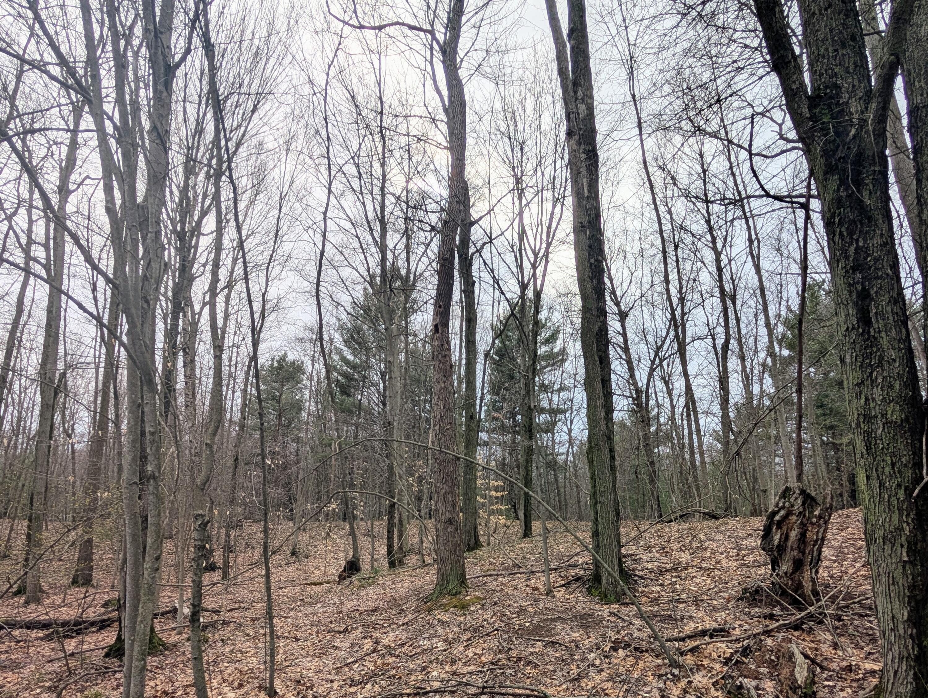 V/l North Weber Road Muskegon, MI 49445 - Photo 11 of 16 1000016497