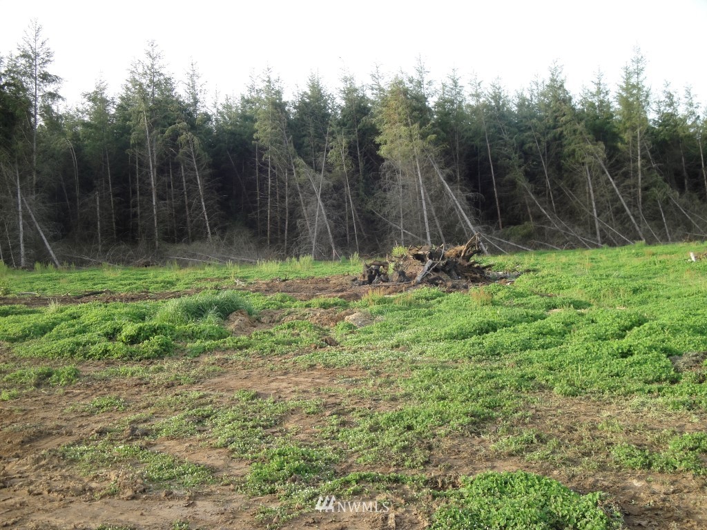 803 Nevil Road Winlock, WA 98596 - Photo 14 of 19