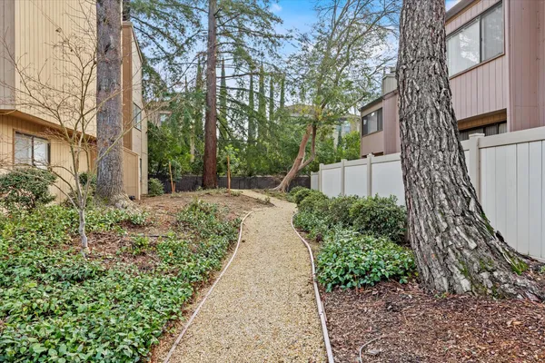 a view of a pathway with a pathway