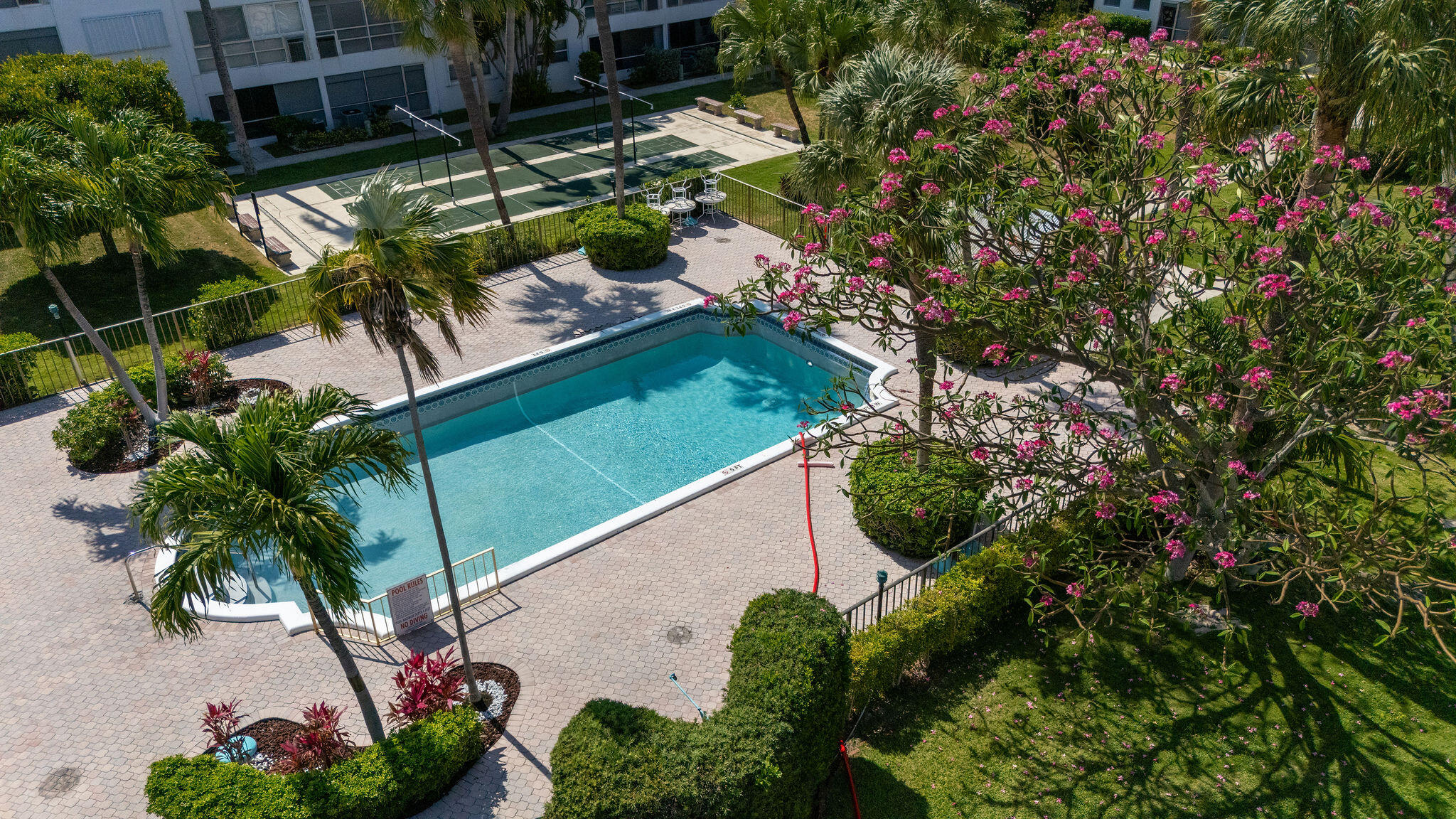2050 Northeast 39th Street, Unit E307 Lighthouse Point, FL 33064 - Photo 37 of 42 a view of a garden with plants