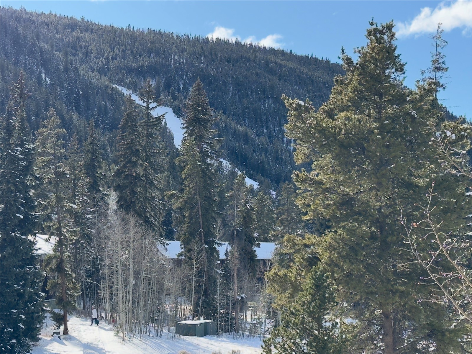1513 East Keystone Road, Unit 2975 Keystone, CO 80435 - Photo 23 of 30 Ski Slope Views