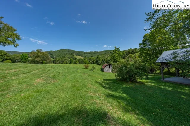 a view of a lush green space