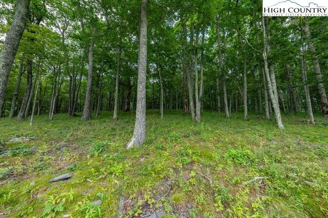 a view of outdoor space with green field and trees